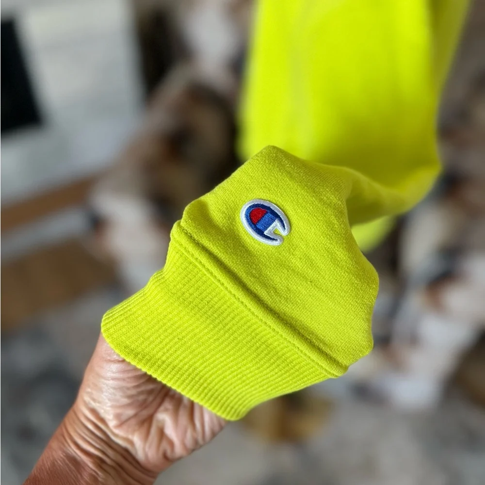 Champion Powerblend Fleece Script Hooded Sweatshirt - Picture 8 of 11